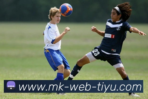 MK体育平台生态图