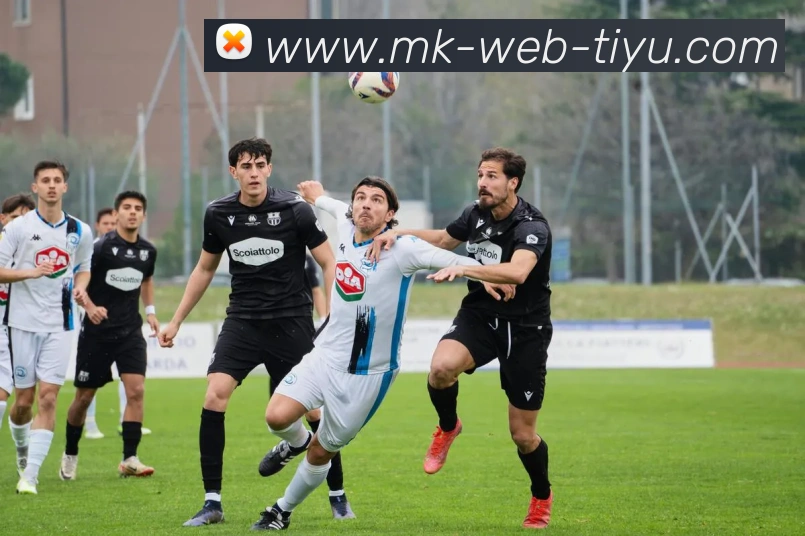 MK体育APP 封面图